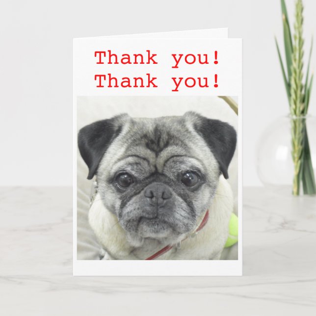 Pug Thank You card (Front)