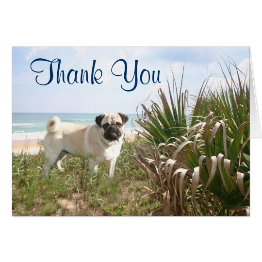 Pug Thank You Card Beachgrass