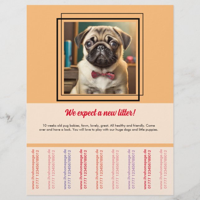 Pug to sell flyer (Front)