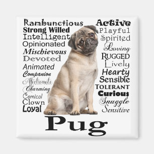 Pug Traits Magnet