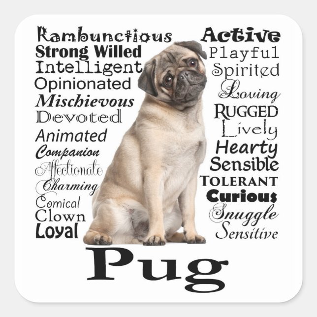 Pug Traits Stickers (Front)