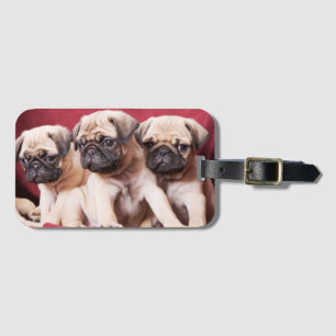 Pug Triplets Luggage Tag