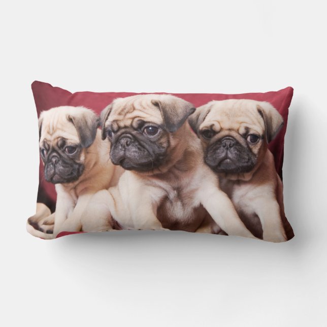 Pug Triplets Lumbar Cushion (Front)