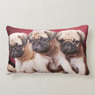 Pug Triplets Lumbar Cushion