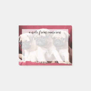 Pug Triplets Post-it Notes