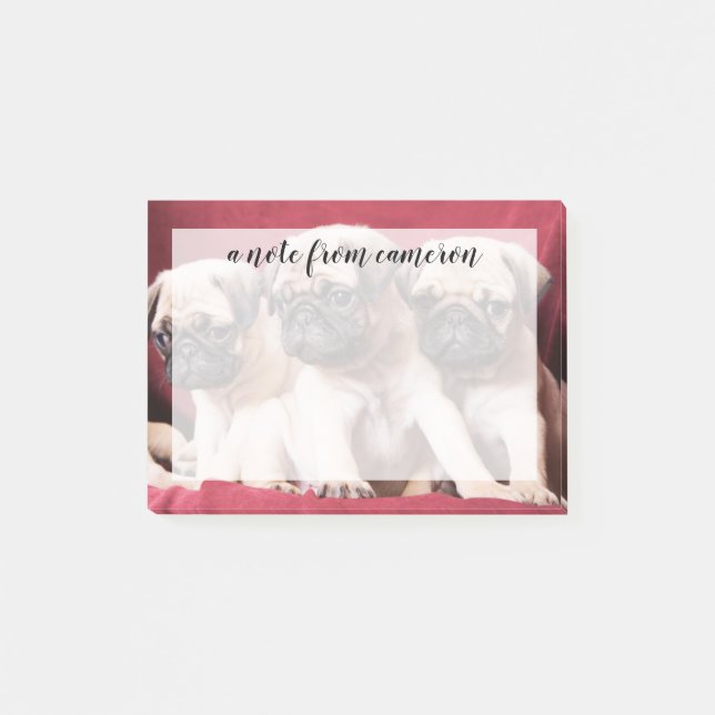 Pug Triplets Post-it Notes (Front)