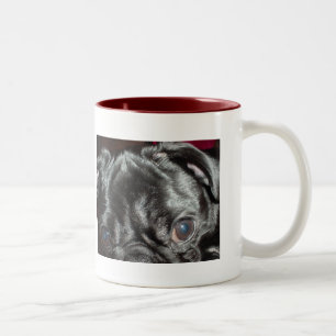 Pug Up-Close - "Here's Looking at You" Two-Tone Coffee Mug