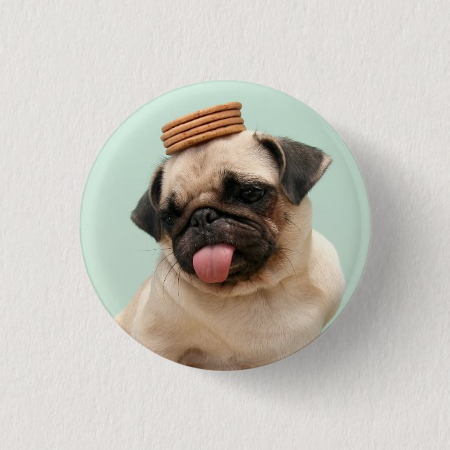 Pug Wants Treats 3 Cm Round Badge (Front)