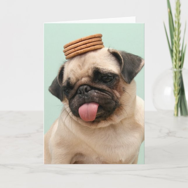 Pug Wants Treats Card (Front)