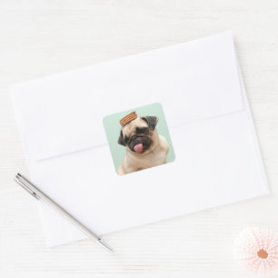 Pug Wants Treats Square Sticker