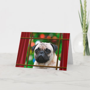 Pug watches for Santa Holiday Card