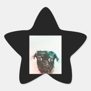 Pug Watercolor   Cute Pug Dog Art Watercolor Star Sticker