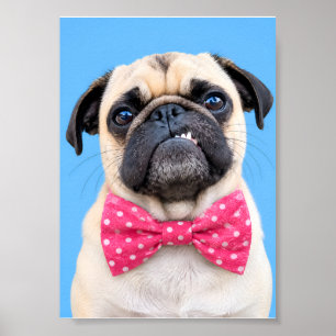Pug Wearing Pink Bow Poster