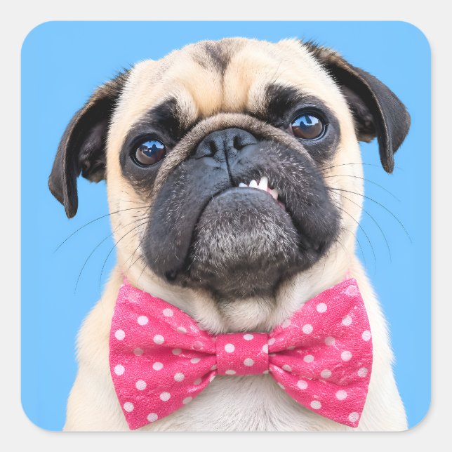 Pug Wearing Pink Bow Square Sticker (Front)
