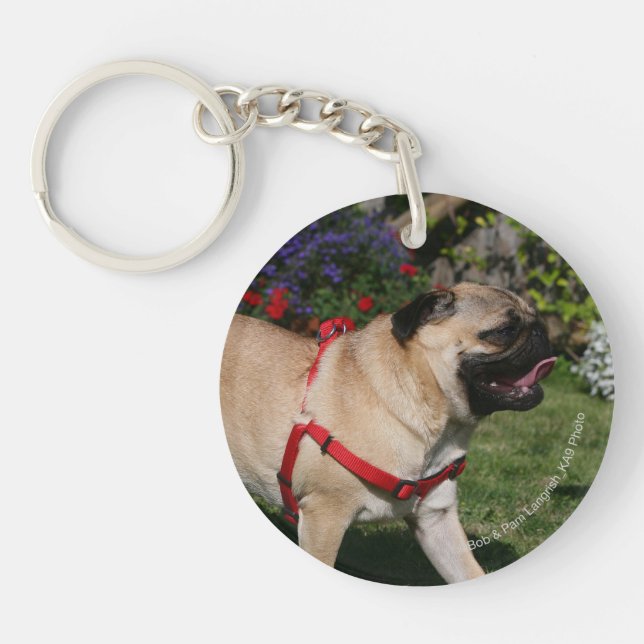 Pug Wearing Red Harness Key Ring (Front)