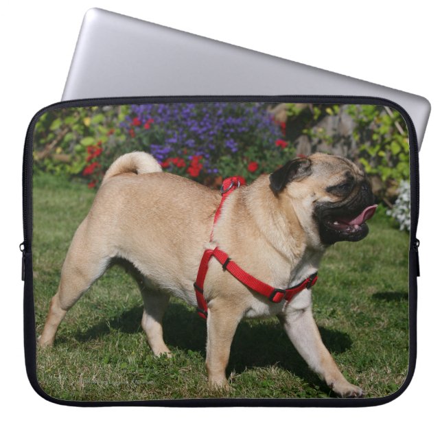 Pug Wearing Red Harness Laptop Sleeve (Front)