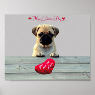Pug Wishing Happy Valentine's day Heart poster