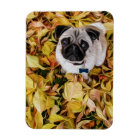 Pug with Autumn Leaves (Digital Painting)