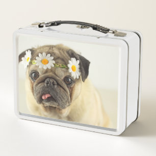 Pug with Daisy Crown Metal Lunch Box