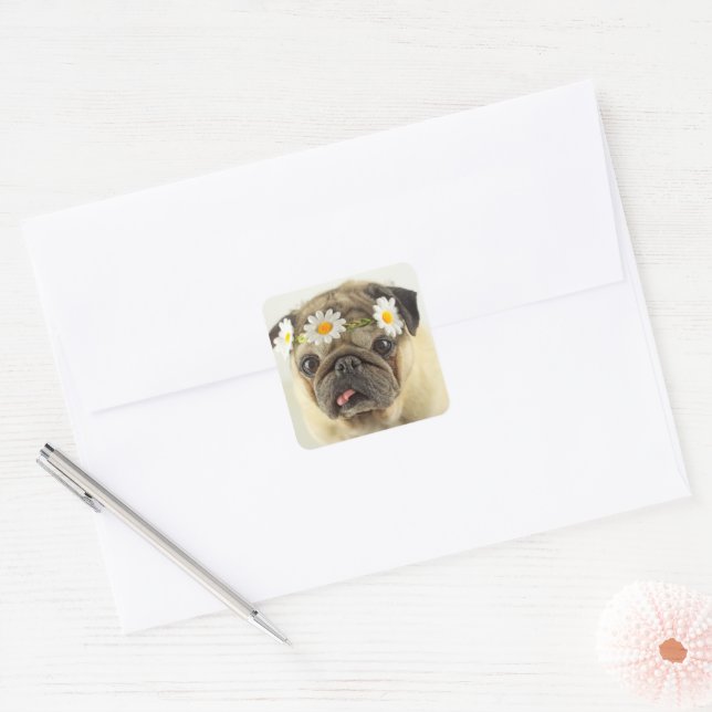 Pug with Daisy Crown Square Sticker (Envelope)