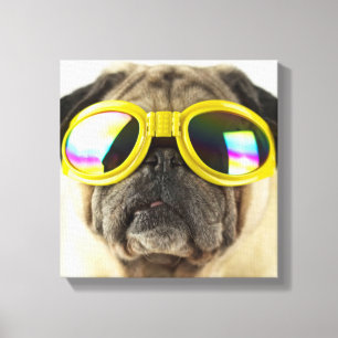 Pug with Goggles Canvas Print