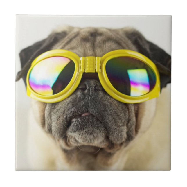 Pug with Goggles Ceramic Tile (Front)