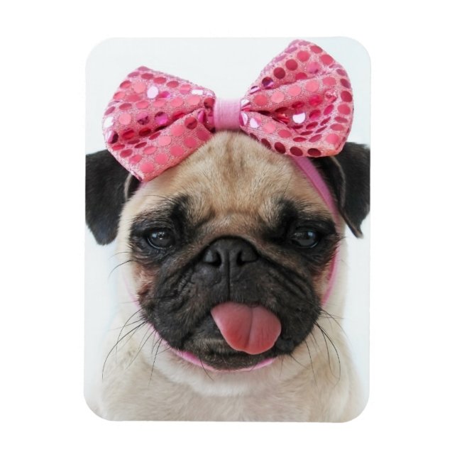 Pug with Pink Bow Magnet (Vertical)