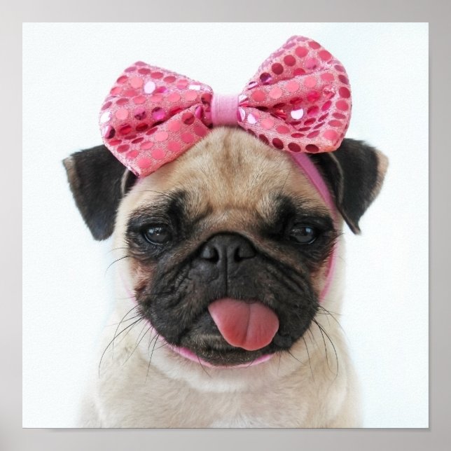 Pug with Pink Bow Poster (Front)