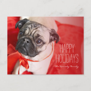 Pug with red ribbon holiday postcard