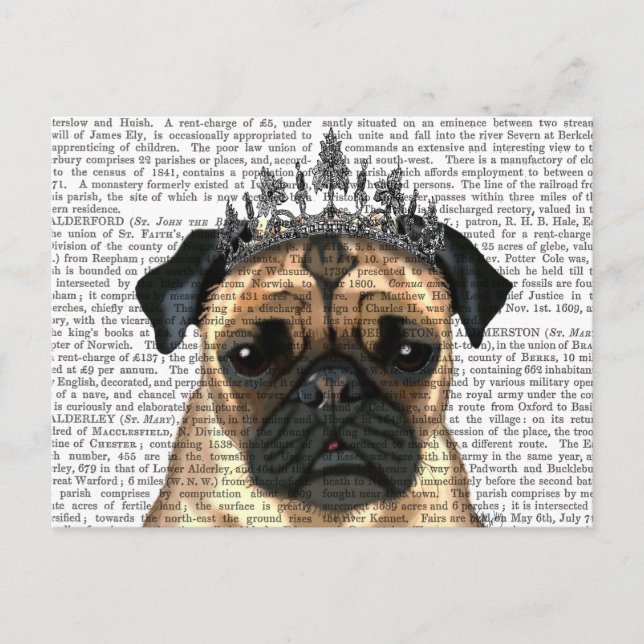 Pug With Tiara Postcard (Front)