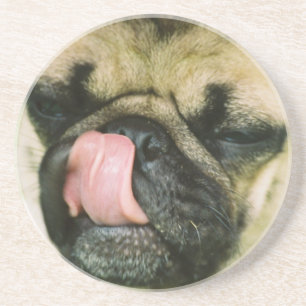 Pugalicious Coaster