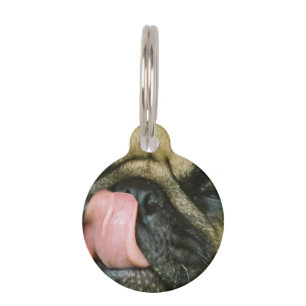 Pugalicious Pet Tag