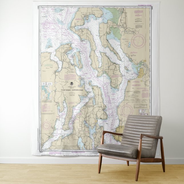Puget Sound-Northern Part Nautical Chart 18441 Tapestry (In Situ)