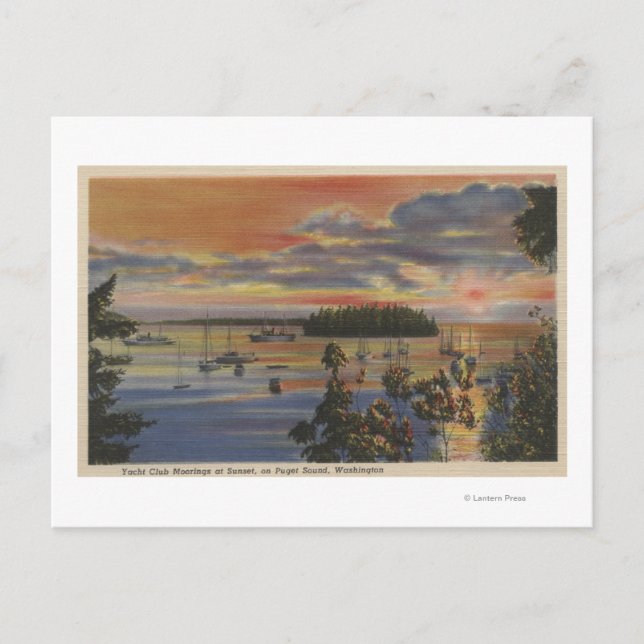 Puget Sound, WA - Yacht Club Moorings at Sunset Postcard (Front)