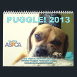 Puggle! 2013 Calendar<br><div class="desc">This is the Puggle! 2013 Calendar chose by the 15, 000 fans of the puggle on Facebook! The model for each month was chosen by the fans as part of the Profile Pic Pageant. If you love the puggle like all of us visit our page at: www.facebook.com/PuggleDog</div>