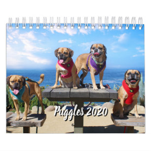 PUGGLE - 2019 CALENDAR