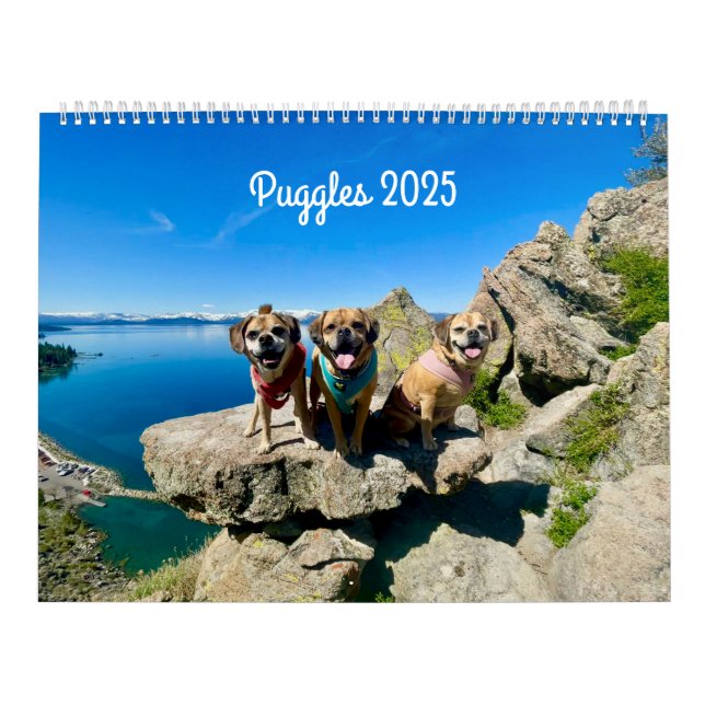 Puggle 2025 Calendar (Cover)