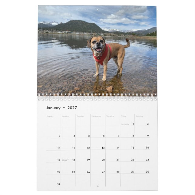 Puggle Calendar 2022 (Jan 2027)