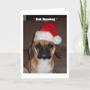 Puggle! Christmas Card