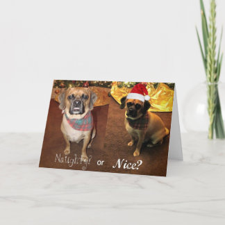 Puggle! Christmas Card