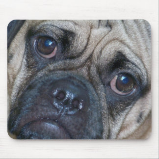 puggle face mouse pad