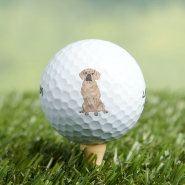 Puggle Golf Balls (Insitu Tee)