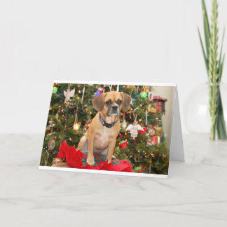 Puggle Holiday Card