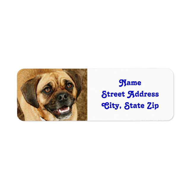 Puggle labels (Front)