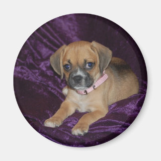 Puggle Love Magnet