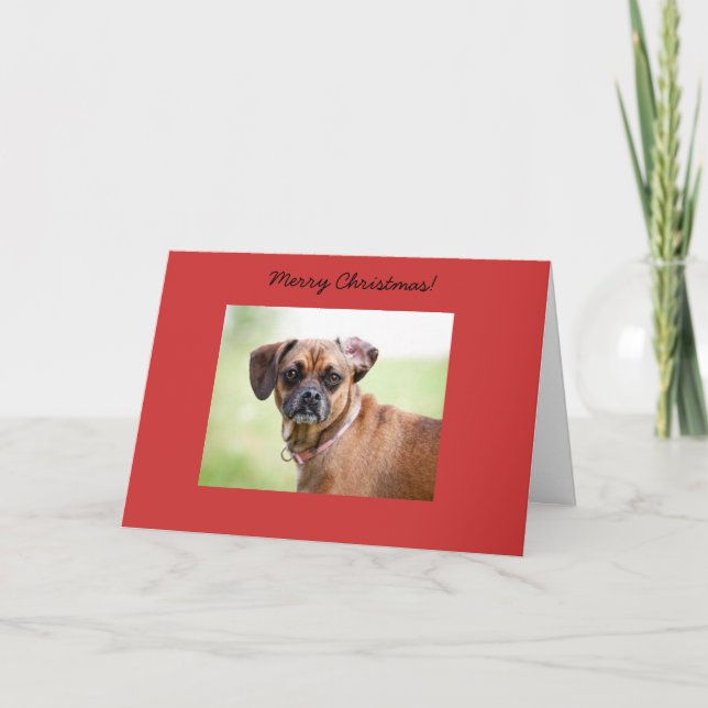 Puggle Merry Christmas Card (Front)