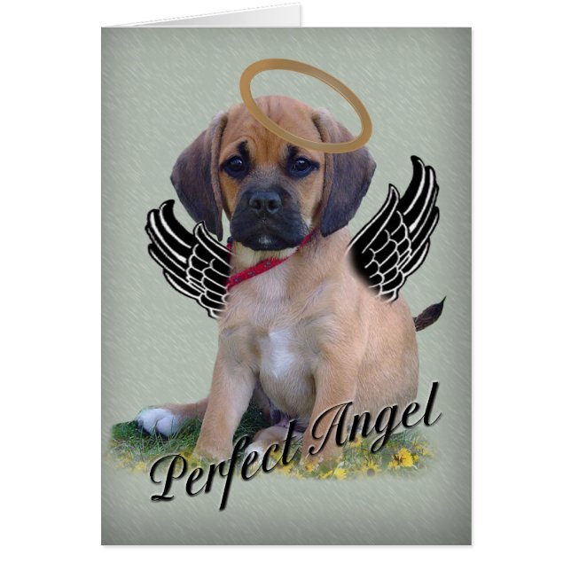 Puggle perfect angel card on green (Front)