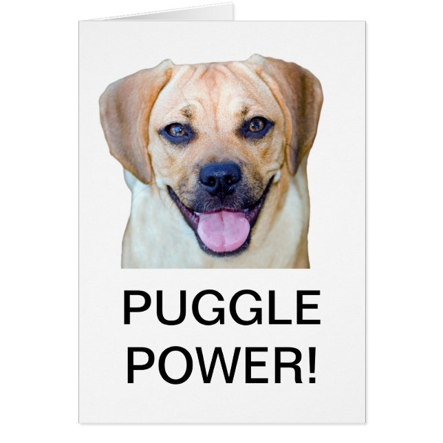 Puggle Power! (Front)
