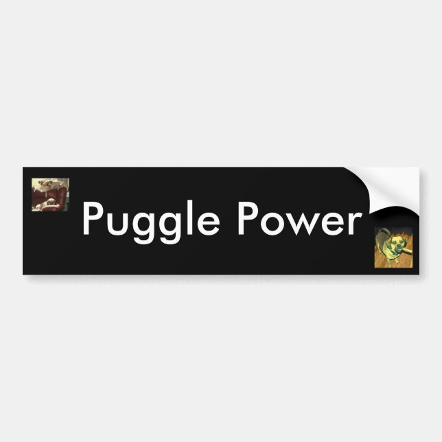 Puggle Power Bumper Sticker (Front)