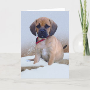 Puggle snow scene card